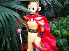 -南宫五洲植物乐园