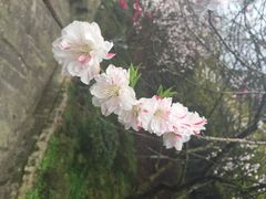 iphone_upload_pic-重庆抗战遗址博物馆