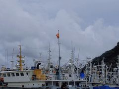 -渔中舟海鲜大排档(普陀沈家门店)