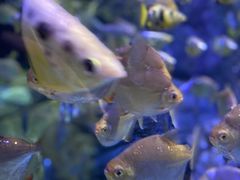 -成都浩海立方海洋公园