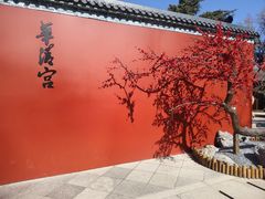 -华清宫景区