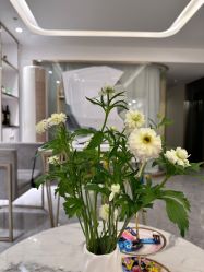 -MIDA蜜哒•科技逆龄美肤连锁