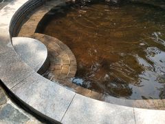 -天目湖涵田半山温泉