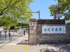 -嘉定紫藤园