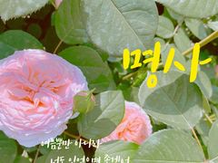 -苏州太湖西山岛开心农场