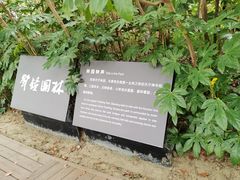 -红梅公园