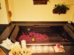 -春晖园度假酒店温泉