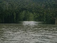 -昆山城市生态森林公园