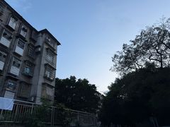 -周良天山牛杂城(天山路总店)