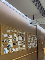 -上海首尔丽格医疗美容医院