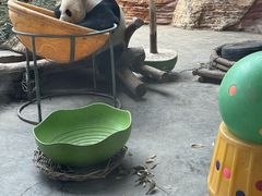 -石家庄市动物园