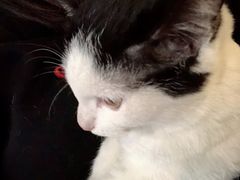 -么么咖啡(燕郊店)