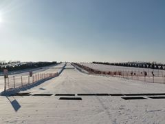 -呼兰河口湿地公园