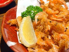 -鸟屯(三里屯店)