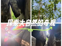 -鲁山国家森林公园