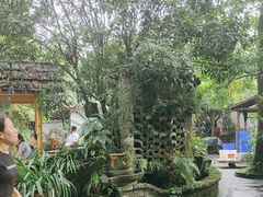 -青城甲(青城山店)