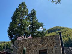 -MOJ coffee(瓯海泽雅水碓坑店)