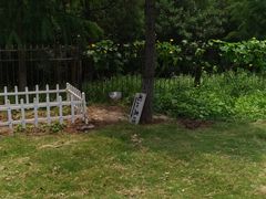 -上海滴水湖皇冠假日酒店