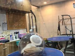 -PETKIT小佩宠物(古北店)