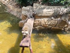 -长鹿旅游休博园