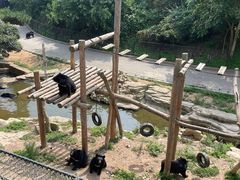 -大连森林动物园