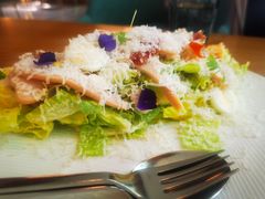 经典凯撒沙拉-EN SPACE恩空间