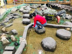 -上海大自然野生昆虫馆(东方明珠·爬宠昆虫探索中心)