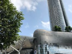 -爱雍·乌节