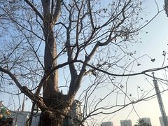 -无锡融创乐园