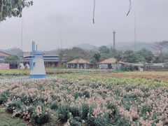 -盈香心动乐园