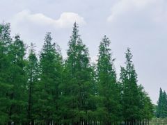 -白鹭湾湿地公园