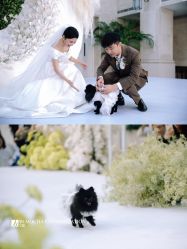 -韩雪造型工作室