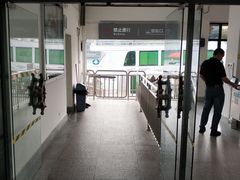 -珠江夜游省总码头