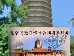 -八大处公园