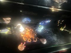 -同济大学四平路校区深海探索馆