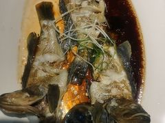 清蒸石斑鱼-鑫悦楼煎蟹·16年海鲜大排档