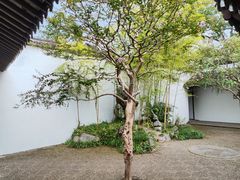 -上海醉白池公园