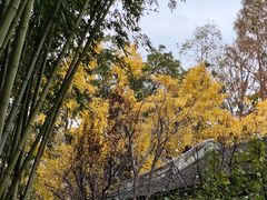 -汇龙潭