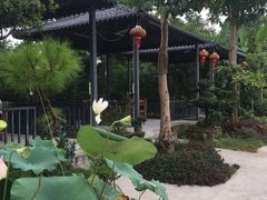 -罗浮山·罗园农庄
