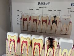 -上海仁爱医院口腔科 · 种植