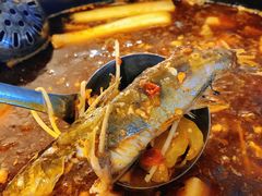 -金海椒罐罐鲢鱼(东方桂苑店)