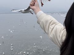 -滇池海埂公园