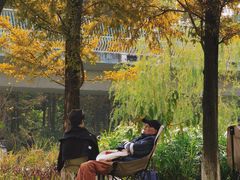 -白鹭湾湿地公园