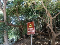 -紫金山山顶公园