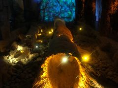 -乐山乌木文化博览苑