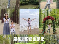 -日照海滨国家森林公园