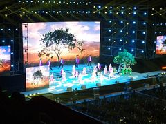 -南京奥林匹克体育中心-体育馆