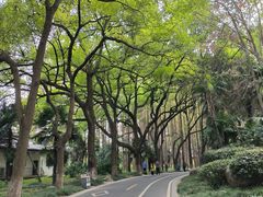 -采石矶景区