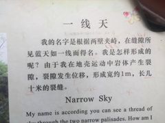 -嵩山少林文化旅游景区