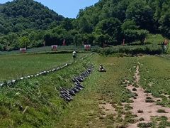 -大水川景区